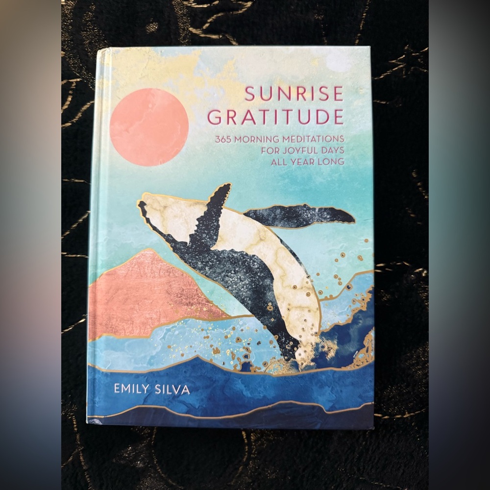 Sunrise Gratitude: 365 morning meditations book by Emily Silva